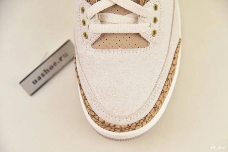 3 Palomino Air Jordan CT8532-102 0425